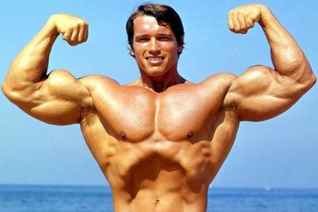 “WHY I SUCCEED”, Arnold Schwarzenegger, by The Mulligan Brothers